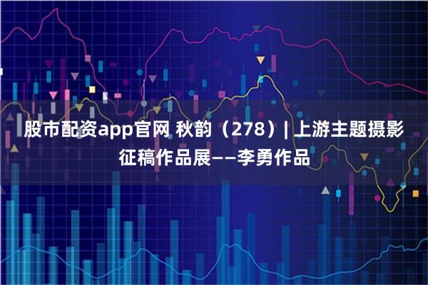 股市配资app官网 秋韵（278）| 上游主题摄影征稿作品展——李勇作品